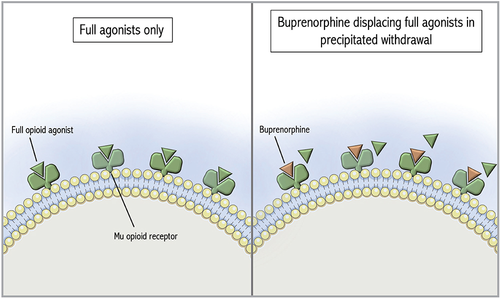 Figure1