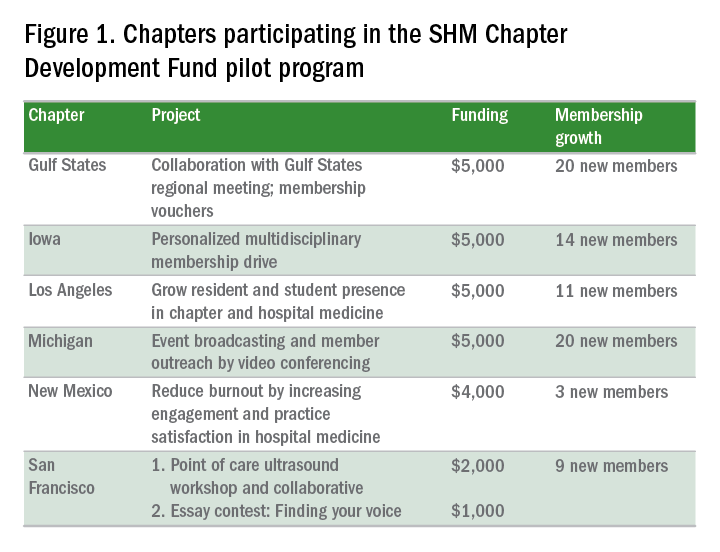 Chapters participating in the SHM Chapter Development Fund pilot program