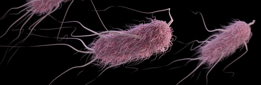 Extended-spectrum ß-lactamase-producing Enterobacteriaceae (ESBLs) bacteria, in this case, Escherichia coli.