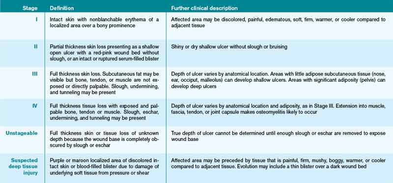 Wound Essentials 2 The Treatment of Pressure Ulcers From Grade 1 To Grade 4  | PDF | Wound | Clinical Medicine