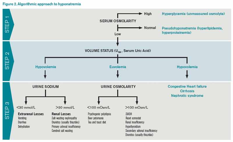 Figure 2. Algorithmic approach to hyponatremia.