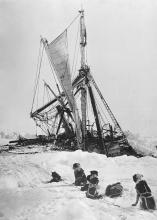 Endurance final sinking in Antarctica, November 1915. The dogs were later shot to conserve supplies.