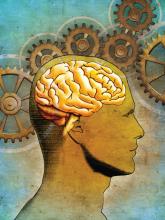 Illustration of a human brain against a backdrop of cogwheels