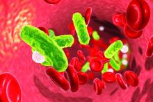3D illustration showing Sepsis bacteria in blood with red blood cells and leukocytes.