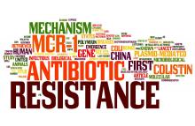 Antibiotic resistance