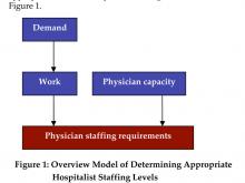 Figure 1: Overview Model of Determining Appropriate Hospitalist Staffing Levels