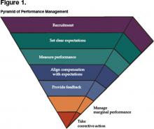 Figure 1. Pyramid of Performance Management