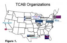Figure 1. TCAB Organizations