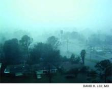 View from Ochsner Clinic Foundation, 8 a.m. August 29 during Hurricane Katrina.