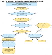 Figure 2. Algorithm for Management of Empyema in Children