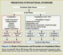 Figure 2. Model of Dysfunction and Prevention for Hospitalized Elders