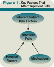 Figure 1. Key Factors That Affect Inpatient Falls