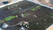 The green roof atop Metro Health Hospital in Wyoming, Mich.