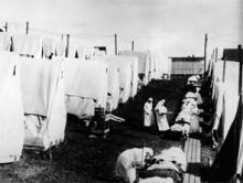 The Spanish flu pandemic of 1918-1920 infected 500 million people and killed as many as 100 million worldwide.