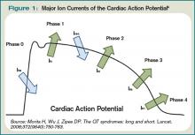 Figure 1:  Major Ion Currents of the Cardiac Action Potential
