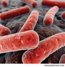 Knocking Out Clostridium Difficile