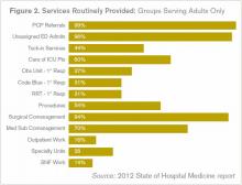 Services Routinely Provided: Groups Serving Adults Only
