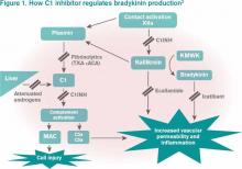How C1 inhibitor regulates bradykinin production