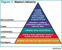 Figure 1. Maslow’s Heirarchy